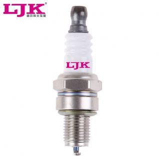 Lawn and Garden Machine Spark plug